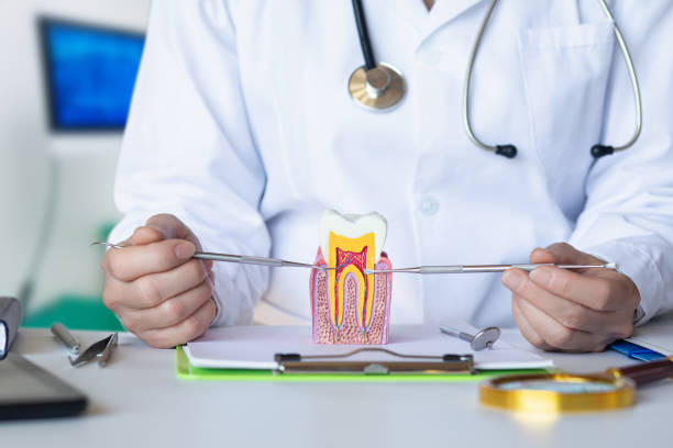 Best Emergency Dental Care for Abscessed Tooth in Pevely, MO